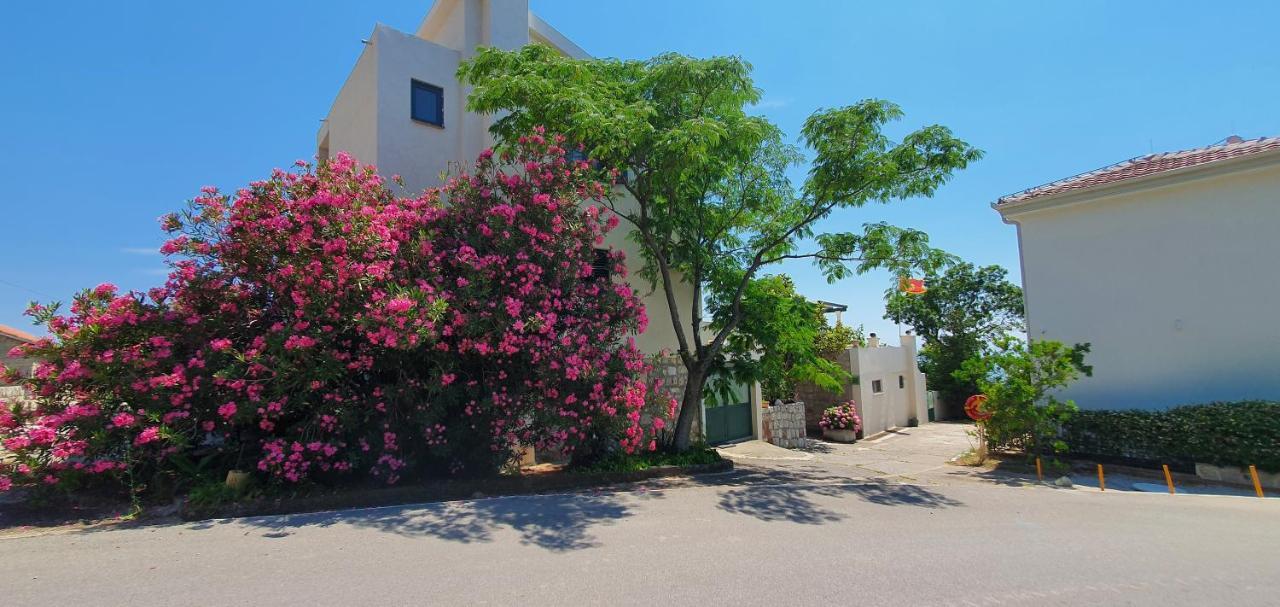 Boutique Home Saltaragazza Petrovac Ngoại thất bức ảnh