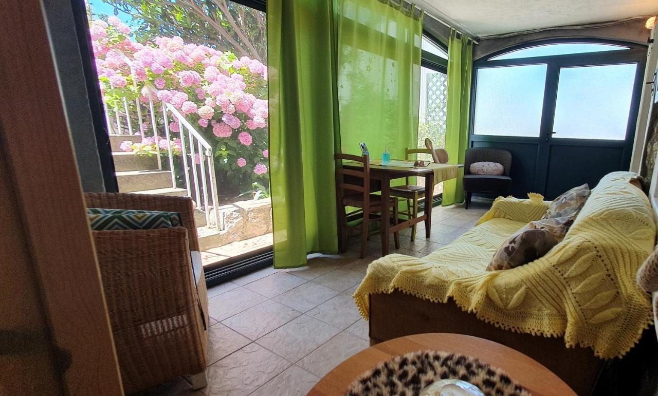 Boutique Home Saltaragazza Petrovac Ngoại thất bức ảnh